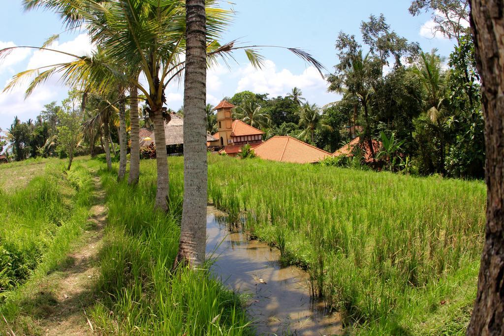Hotel Villa Ubud Экстерьер фото